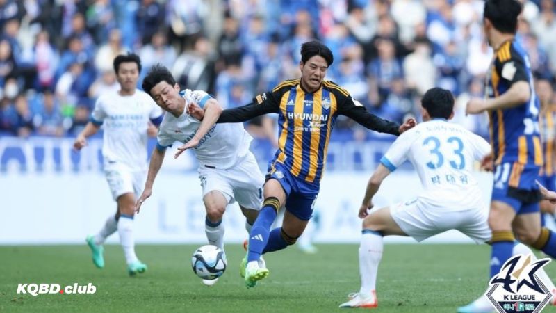 Chuyên môn vượt trội Chuyên môn vượt trội