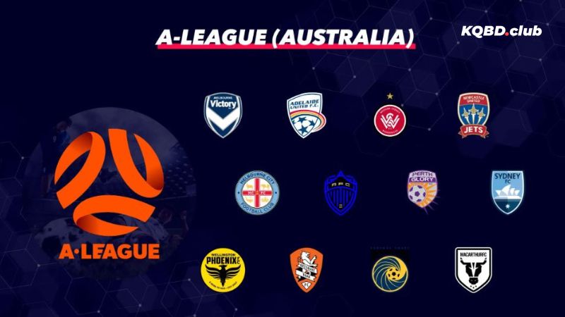 Sơ lược về thể thức thi đấu